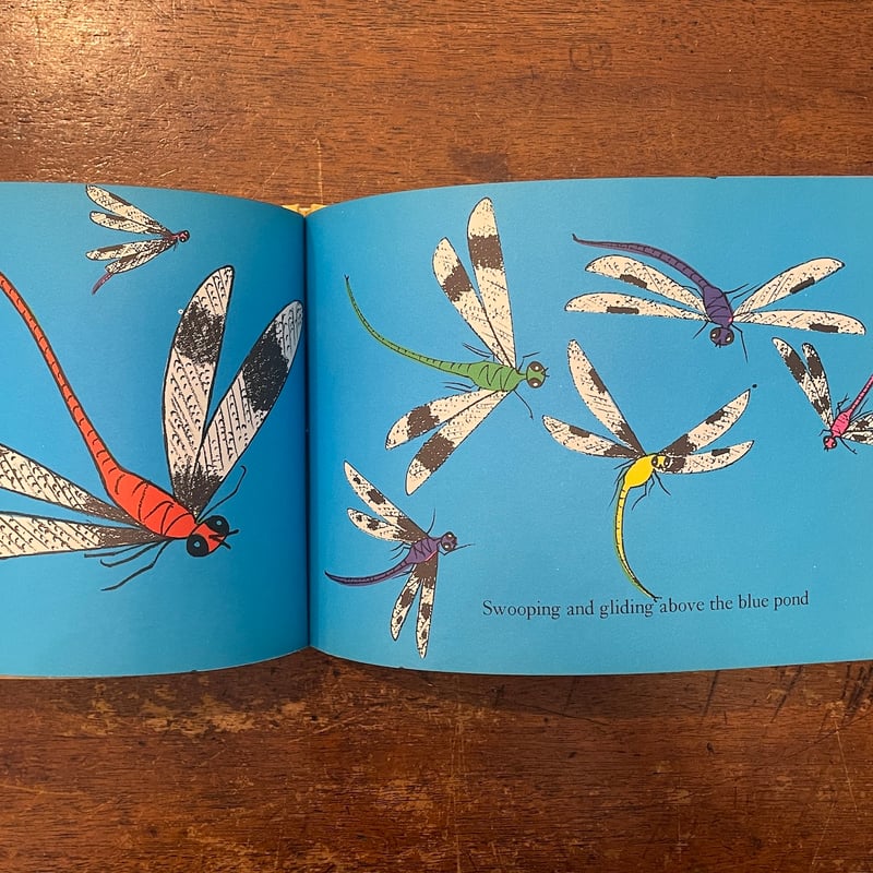 【アロイス・カリジェ】ドイツ語絵本　ハードカバー　2冊セット　希少 Species Knabe Aktskizzen (Livre en allemand) ドイツ語 ハード