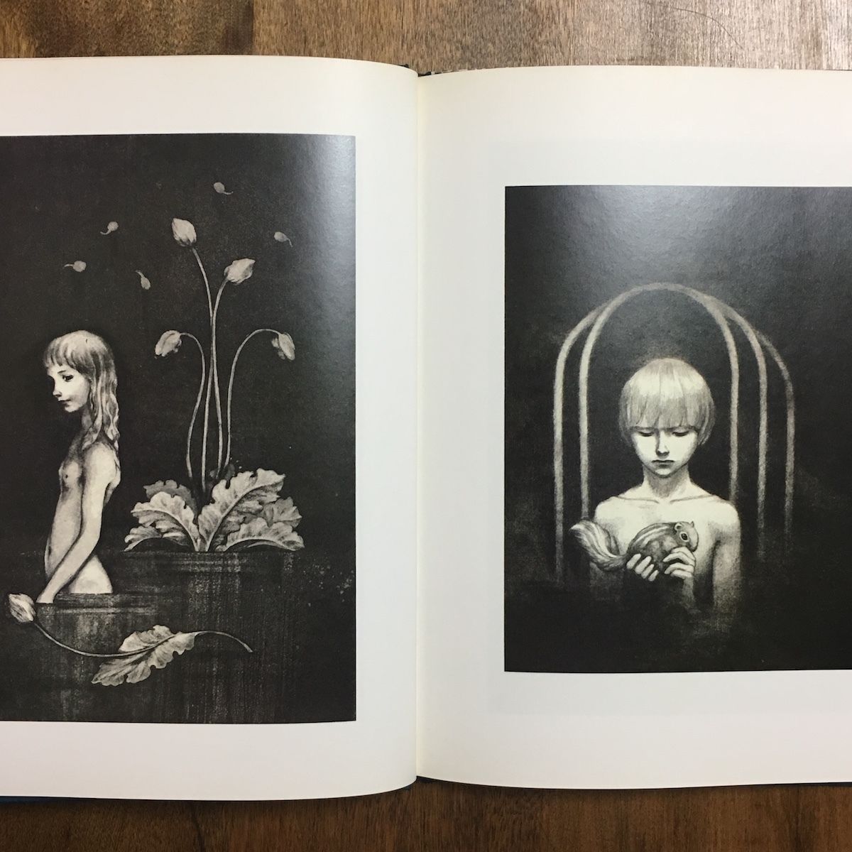 アクエリアム 東逸子 画集 アクエリアム 東逸子画集」 | Frobergue online store