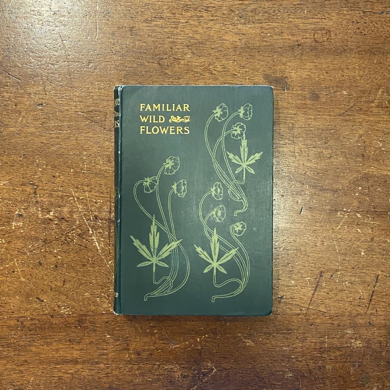 FAMILIAR WILD FLOWERS Ⅳ（1900年頃）」F. Edward Hulm