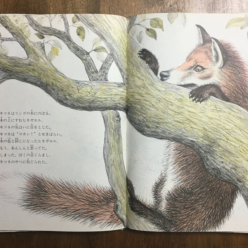 キツネがコッホン」マーガレット・ワイズ・ブラウン 文 ガース