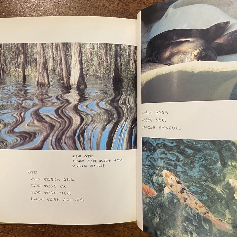 かたちをきく／マーシャ•ブラウン／谷川俊太郎／マーシャ•ブラウンの写真絵本2 かたちをきく【マーシャ・ブラウンの写真絵本2】(マーシャ・ブラウン