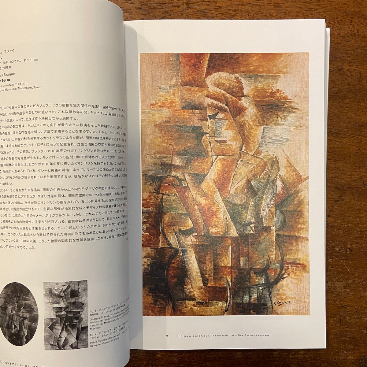 ピカソとその時代 ベルリン国立ベルクグリューン美術館展 図録