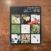 植物精選百種図譜」C・J・トレウ ゲオルク・ディオニシウス・エーレト