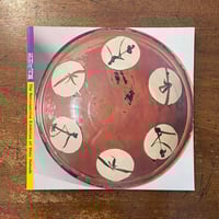 江戸凧三代」橋本禎造 橋本きよ 喜多川周之 | Frobergue online store