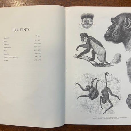 「ANIMALS：1419 Copyright-Free Illustrations」Jim Harter