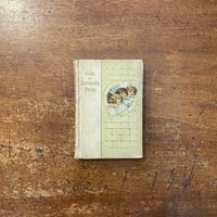 Wes Anderson ウェス　アンダーソン Spitzmaus Mummy Vienna: Spitzmaus Mummy in a Coffin | superfuture®