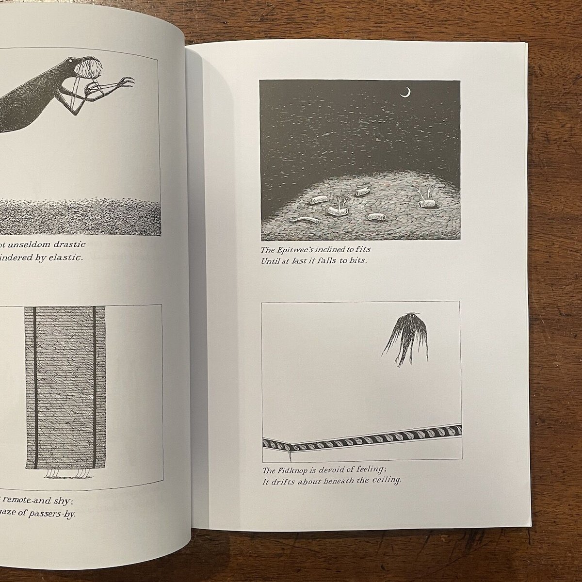 AMPHIGOREY ALSO」Edward Gorey（エドワード・ゴーリー） | Fro