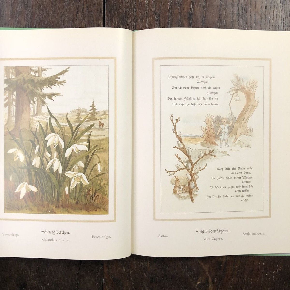 Unter bluhenden Blumen」Simild Gerhard Louise P
