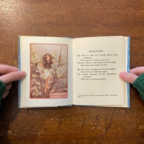 「FAIRIES OF THE TREES（1960年頃）」Cicely Mary Barker（シシリー・メアリー・バーカー）