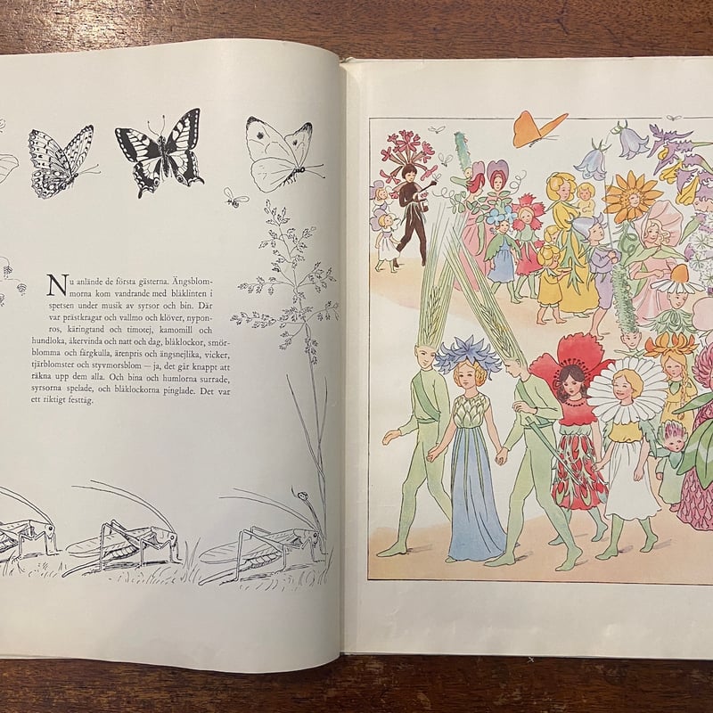 Elsa Felsko 植物画 1960年 ハードカバー① 草花 Elsa Felsko 植物画 1960年 ハードカバー① 草花 12番 Elsa