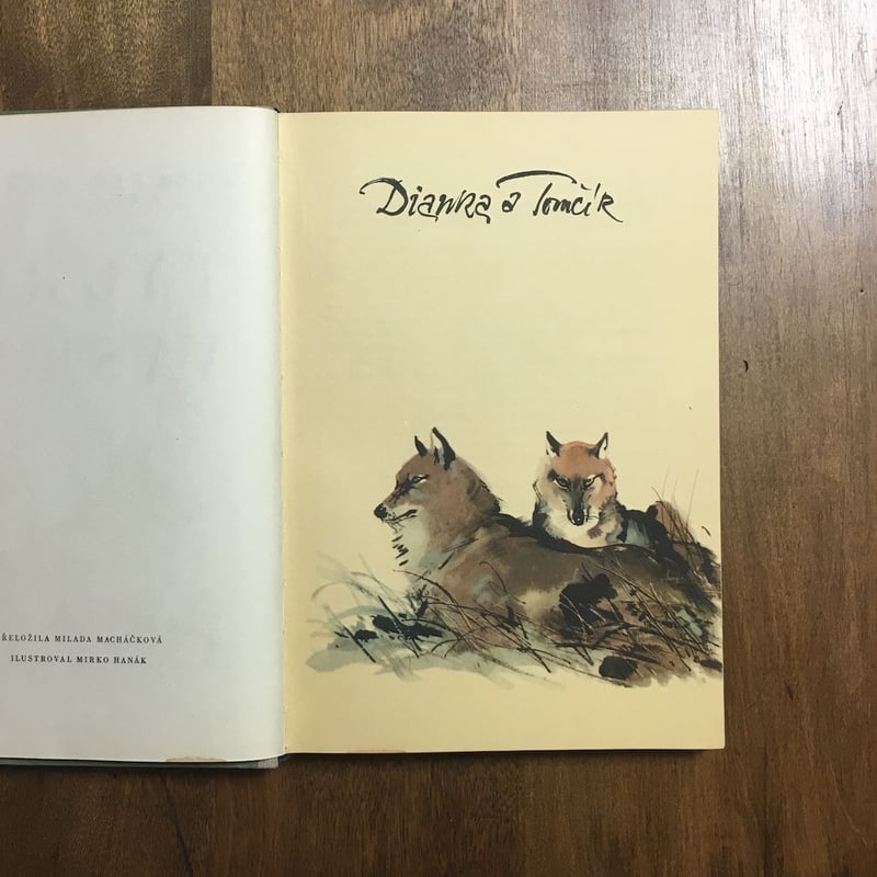 Mirko Hanak/ Milena Lukesova ヴィンテージ本 ⭐︎レア