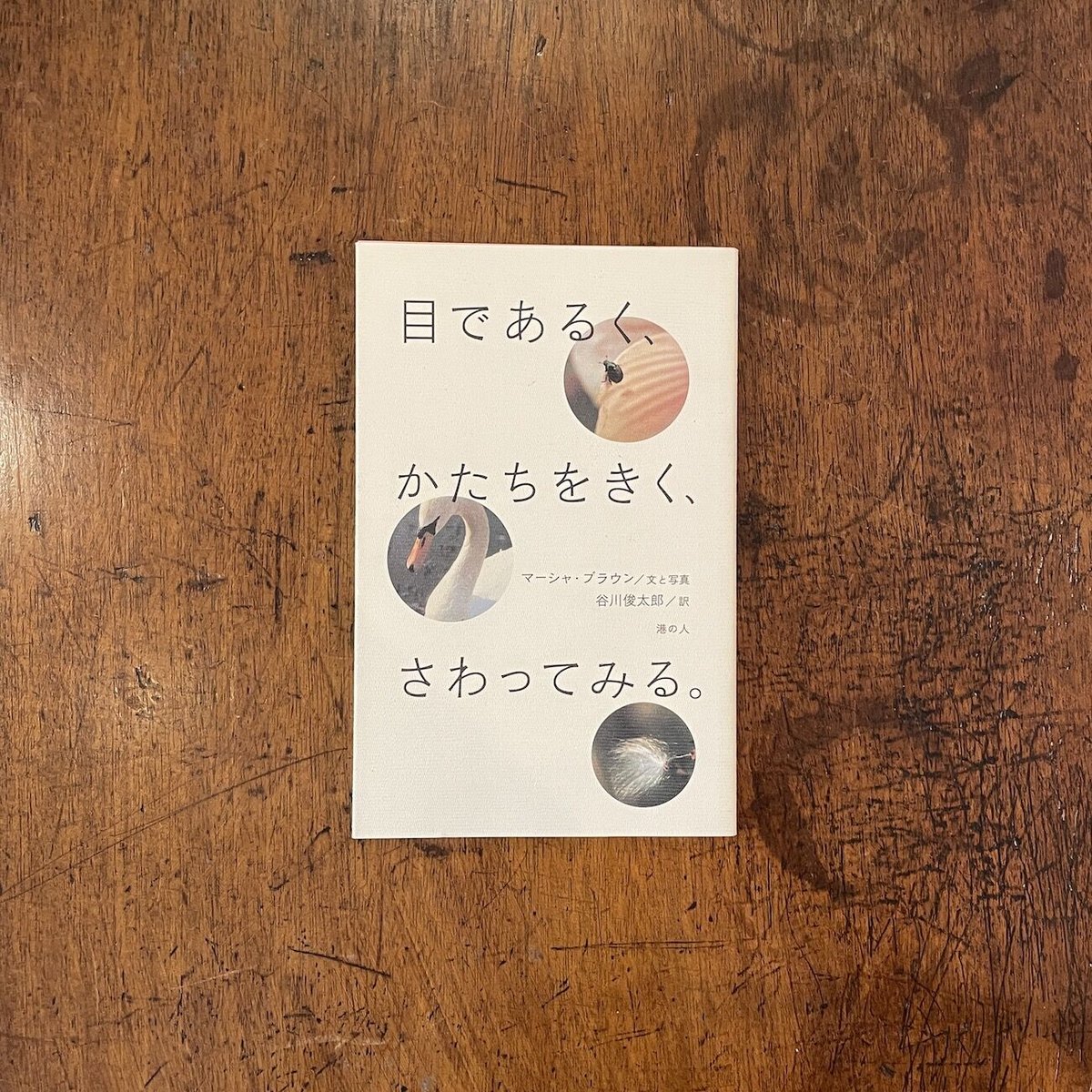 目であるく、かたちをきく、さわってみる。」マーシャ・ブラウン 谷川 