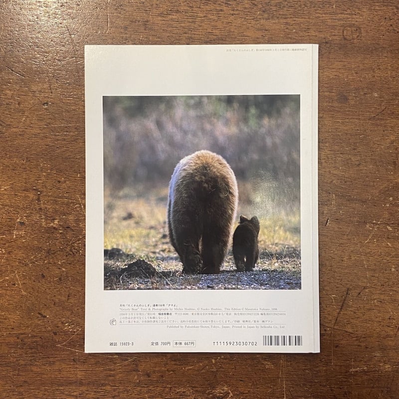 クマよ たくさんのふしぎ156号／1988年3月」星野道夫