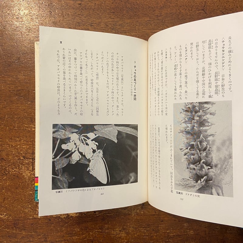 草と虫の四季」中山周平 杉田素行 | Frobergue online store