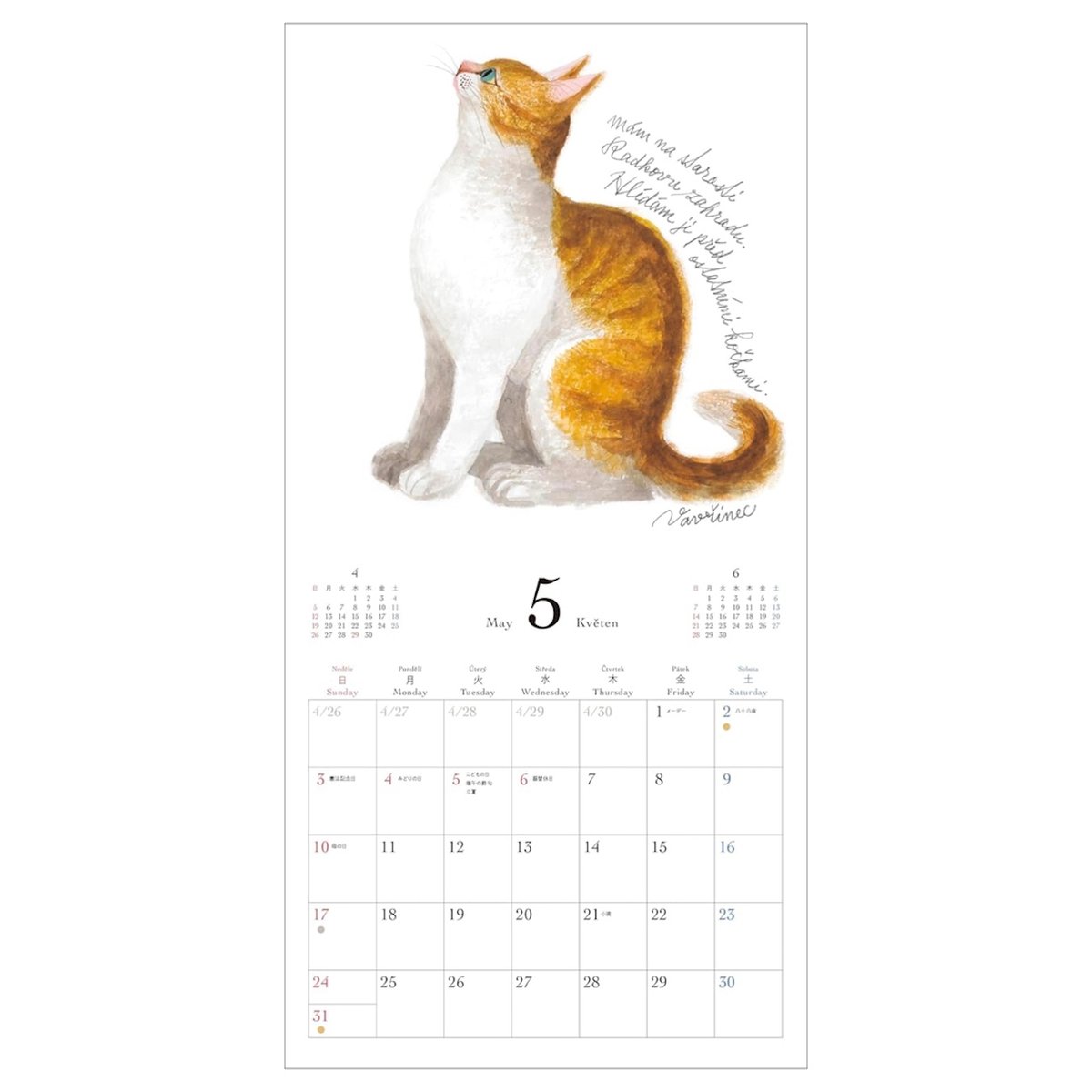 新品商品＞出久根育カレンダー2026「チェコの猫の12カ月」 | Frobergue