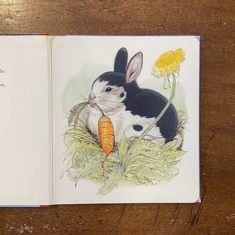 絵本・児童書 Jorinde und Joringel Jorinda and Joringel: David Cutts, David Rickman, the