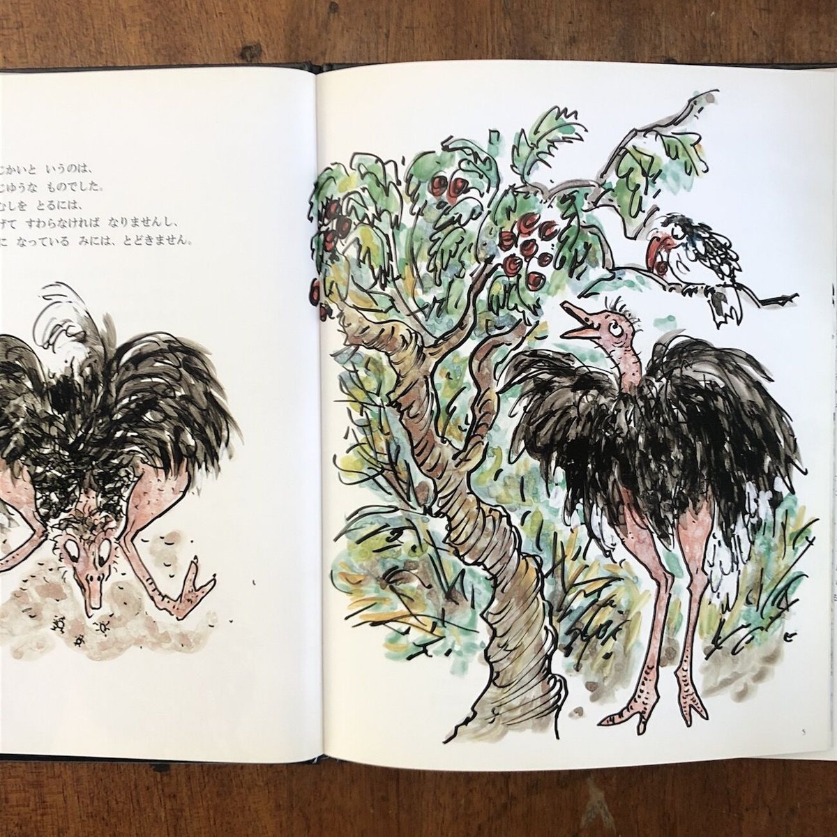 絵画ANNA.k ダチョウの背中 絵画ANNA.k ダチョウの背中 独創的 絵画ANNA.k 絵画 ダチョウの