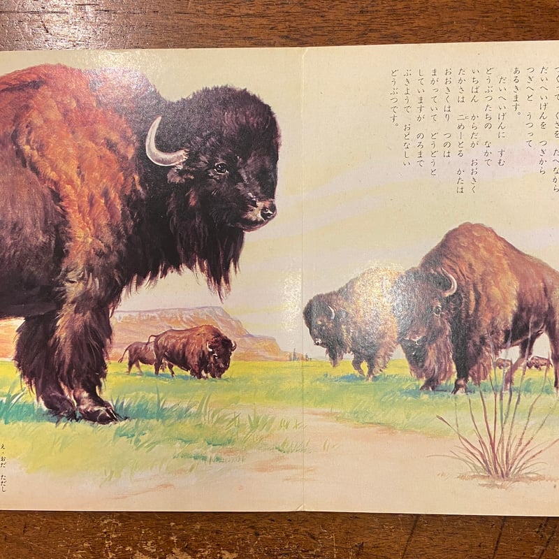 せかいのどうぶつ／トツパンのこども絵本28（1962年）」小田忠