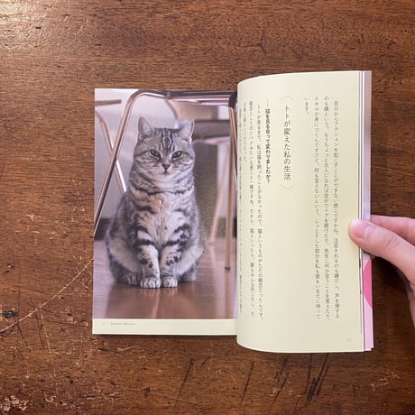 「もの書く人のかたわらには、いつも猫がいた」角田光代　吉田修一 他