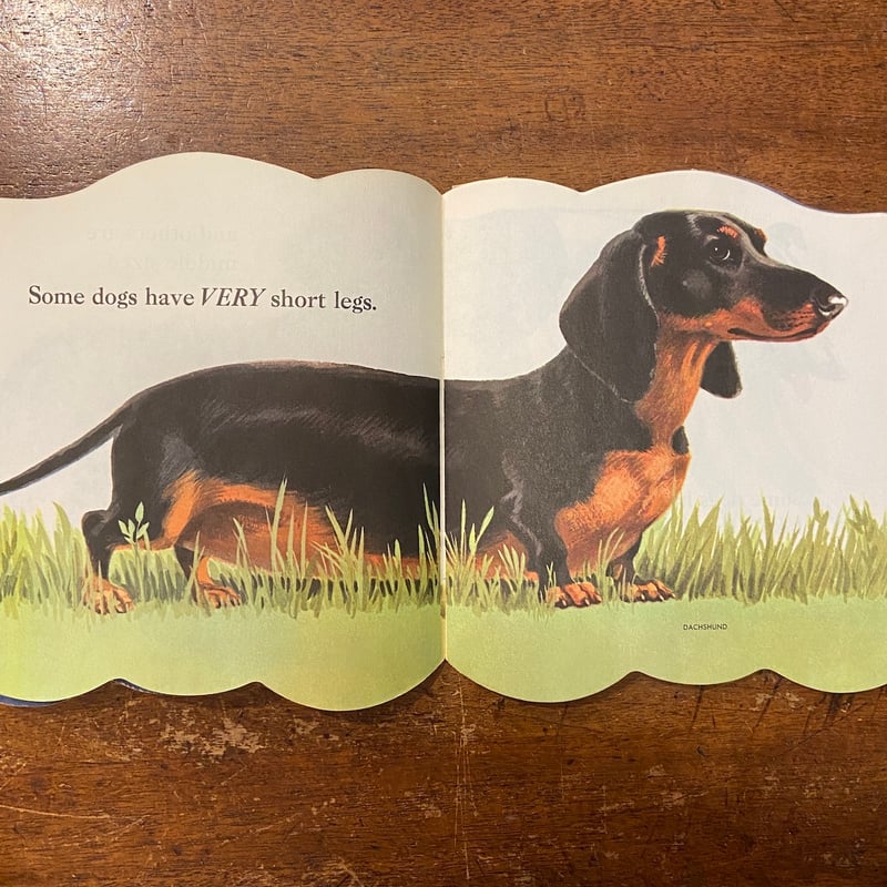 THE DOG BOOK：A GOLDEN SHAPE BOOK」Jan Pfloog |