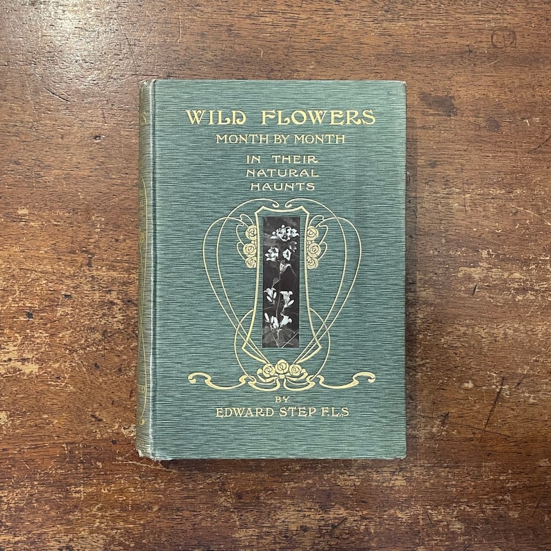 Wild Flowers Month by Month in their natural h
