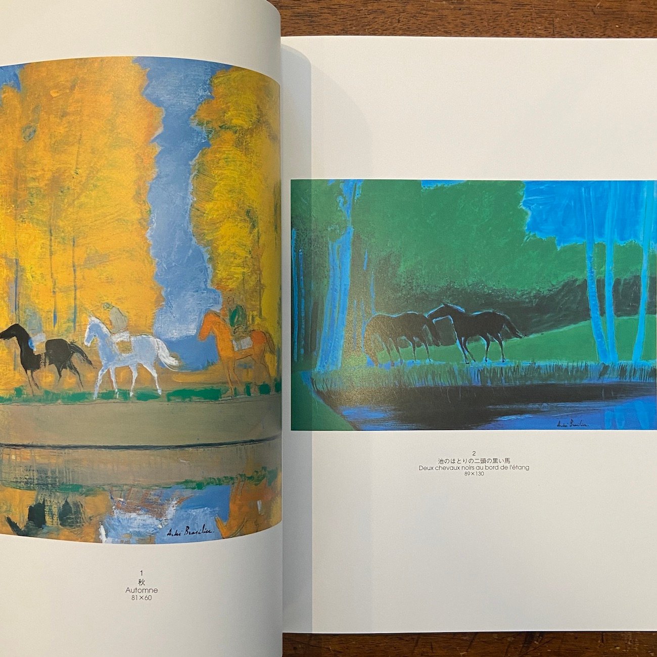 アンドレ・ブラジリエ 画集 Andre Brasilier アンドレ・ブラジリエ新作展 図録」Andre Brasilier（アンドレ