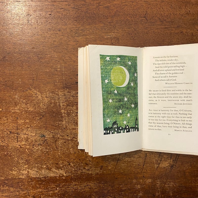 Nature Thoughts：A Selection」Louise Bachelder E