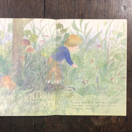 「おっこちたせいようなし　こどものとも343号／1984年10月」エドゥアルド・ペチシュカ 作　森茂子 絵
