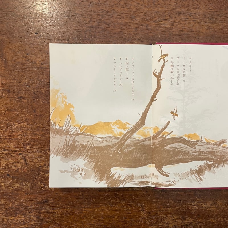 英米児童文学を読む アリスから湾岸戦争まで  /ディ-ティ-ピ-出版/斉藤美加（単行本） アリスのうさぎ | 斉藤 洋,森泉 岳土 | 絵本ナビ：レビュー・通販