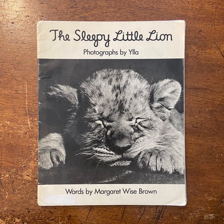 「The Sleepy Little Lion」Margaret Wise Brown　Ylla（イーラ）