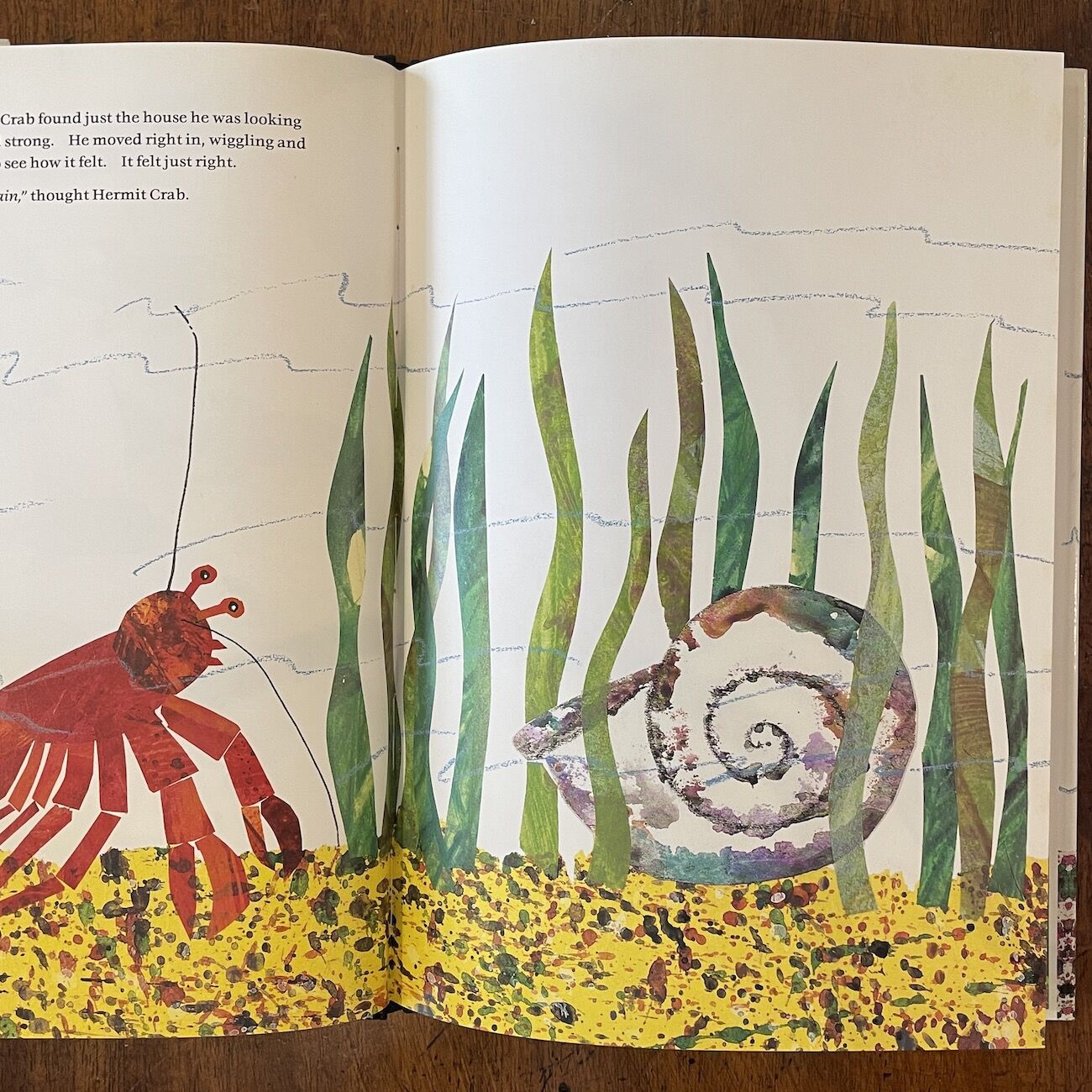 A House for Hermit Crab」Eric Carle(エリック・カール) | A House for Hermit Crab」Eric Carle(エリック・カール) |