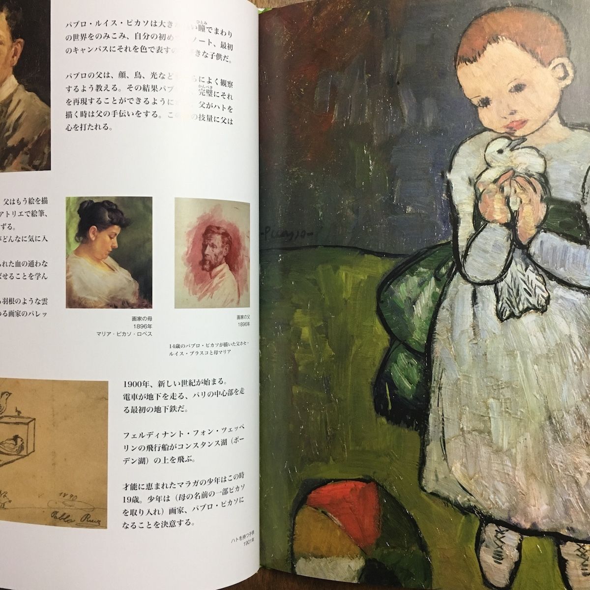 ゲルニカ ピカソ、故国への愛」アラン・セール 文 | Frobergue