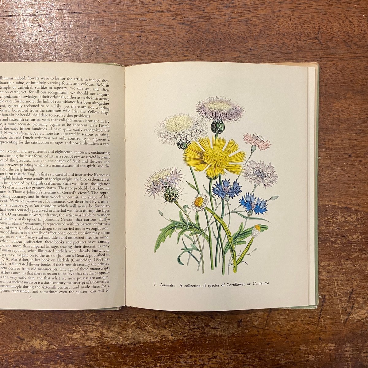 Garden Flowers（1948年）」Jane Loudon Robert Gatho