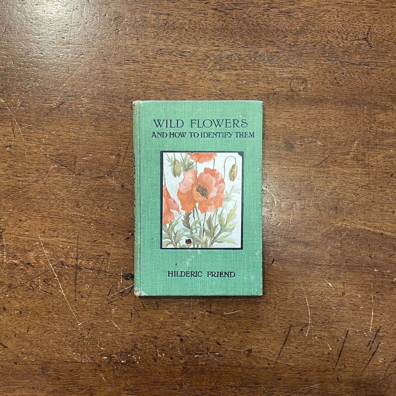 WILD FLOWERS AND HOW TO IDENTIFY THEM（1930年）」H