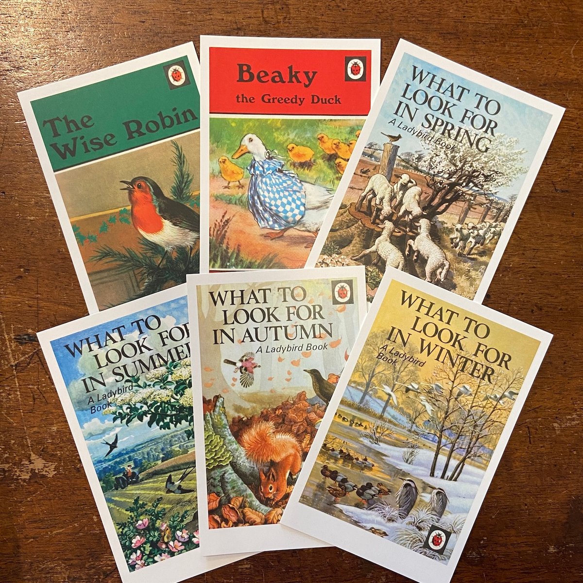 Postcard from Ladybird」 | Frobergue online store