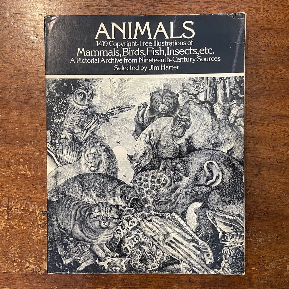 66a5c87177bc66074e323ddc