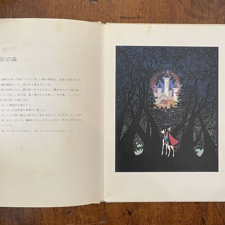 「ヨーロッパの森のなかで」藤城清治