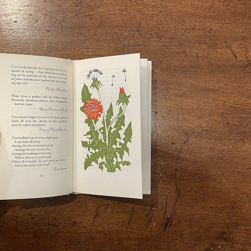 Flower Thoughts：A Selection」Louise Bachelder E