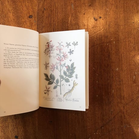 「Das Krauterbuch（Die bibliophilen Taschenbucher No.423）」Elisabeth Blackwell