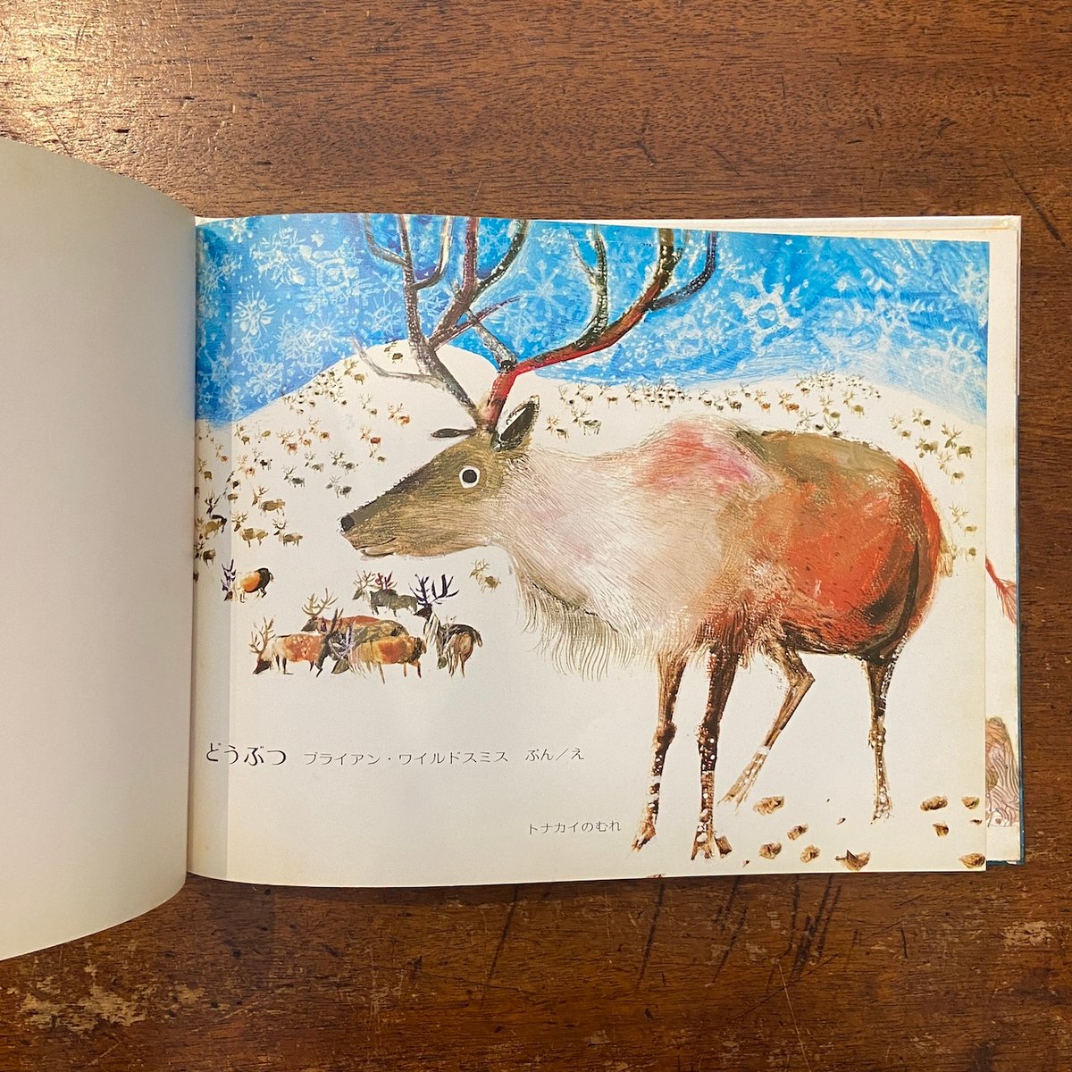 どうぶつ」ブライアン・ワイルドスミス | Frobergue online store