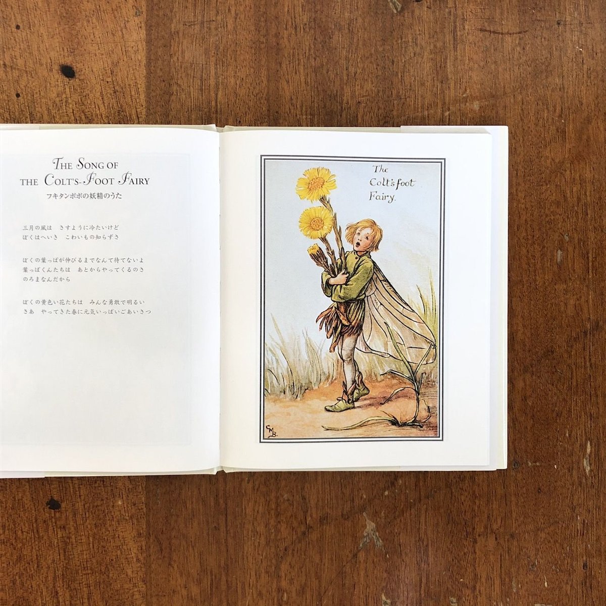 ちりめん本) 孝女白菊の詩 独文 カール・フロレンツ訳述(Karl ちりめん本) 孝女白菊の詩 独文 カール・フロレンツ訳述(Karl