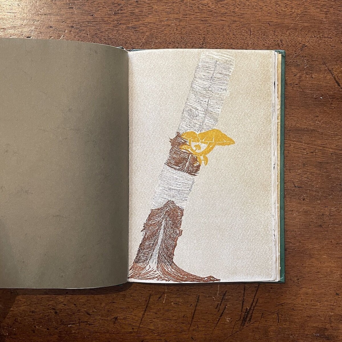 1960年グウェン・フロスティック These things are ours. These things are ours - written, illust, signed by Gwen