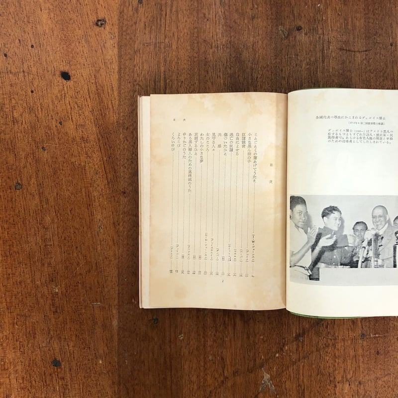 ことごとくの聲をあげて歌え アメリカ黒人詩集」ラングストン