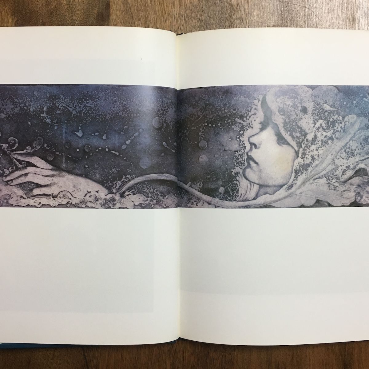 アクエリアム 東逸子 画集 アクエリアム : 東逸子画集(東逸子) / 古本、中古本、古書籍の