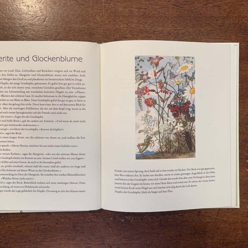 HUPFER UND DIE BLUMEN」Max Dingler Else Wenz-Vi
