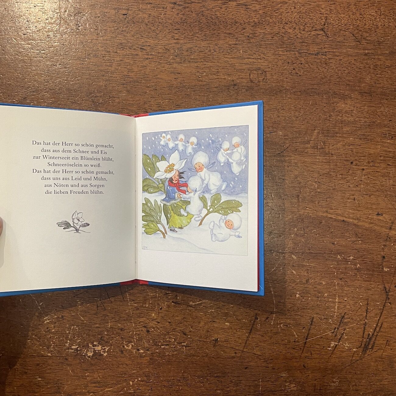 洋書ドイツ【新品】Ida Bohatta イーダボハッタ作品集♡14話収録！ Schneeflockchen」Ida Bohatta（イーダ・ボハッタ） | Frober
