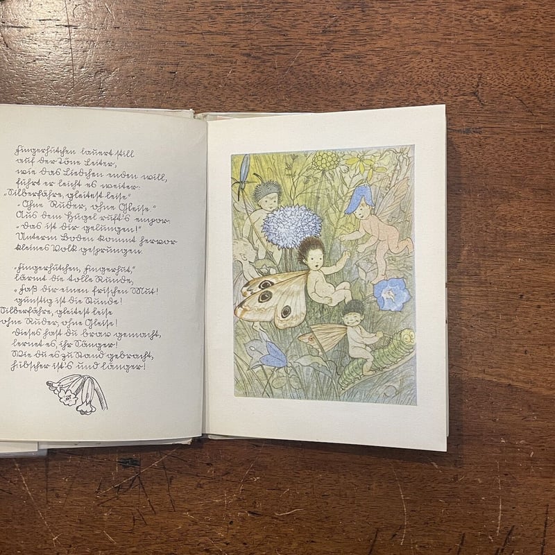 Fingerhutchen（1930年頃）」Conrad Ferdinand Meyer E