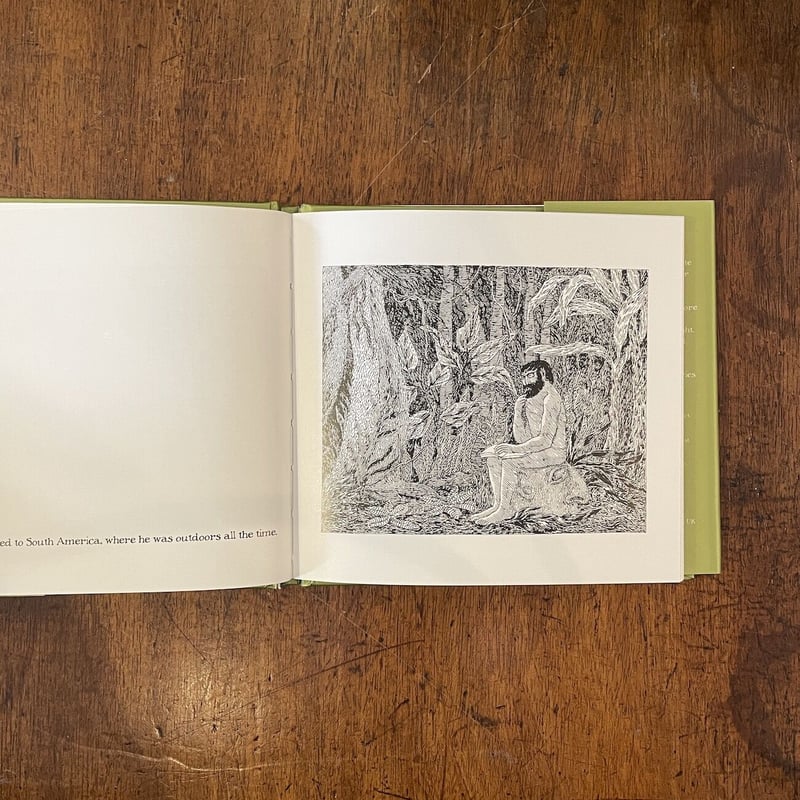 THE LOST LION」Edward Gorey（エドワード・ゴーリー） | Frobe