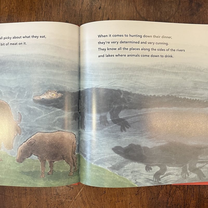 BEWARE OF THE CROCODILE」Martin Jenkins Satoshi