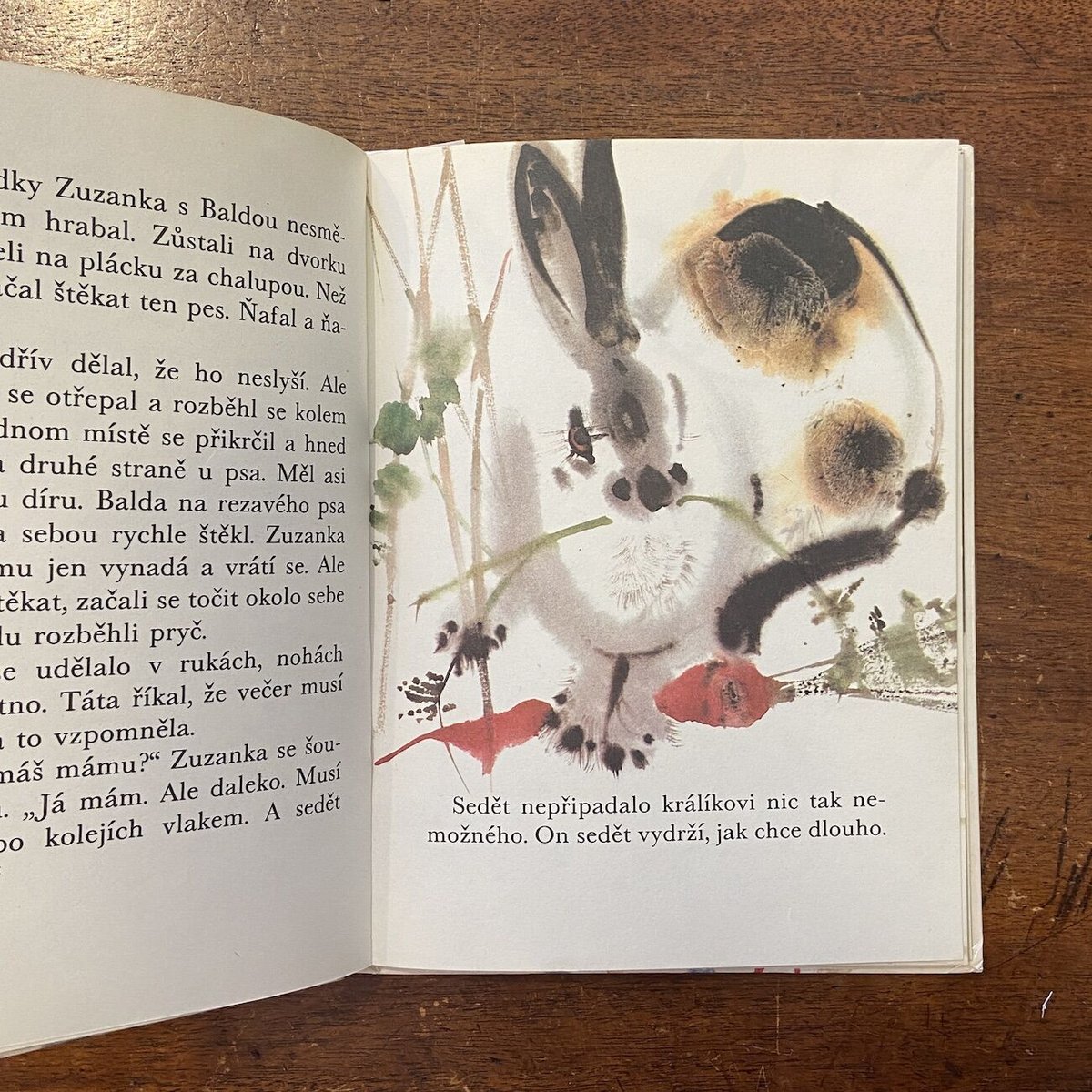 Neulet, ptacku/1981年 Mirko Hanak Neulet , Ptacku」Milena Lukesova Mirko Hanak（ミル